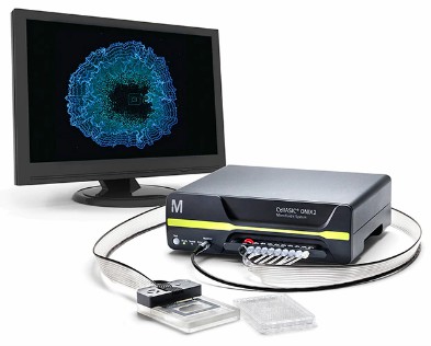 10-1-14 Bimolecular Fluorescence Complementation (BiFC)-5