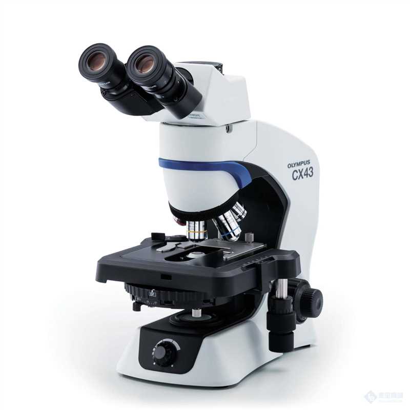 10-1-20-1 Primary Cell Culture-9