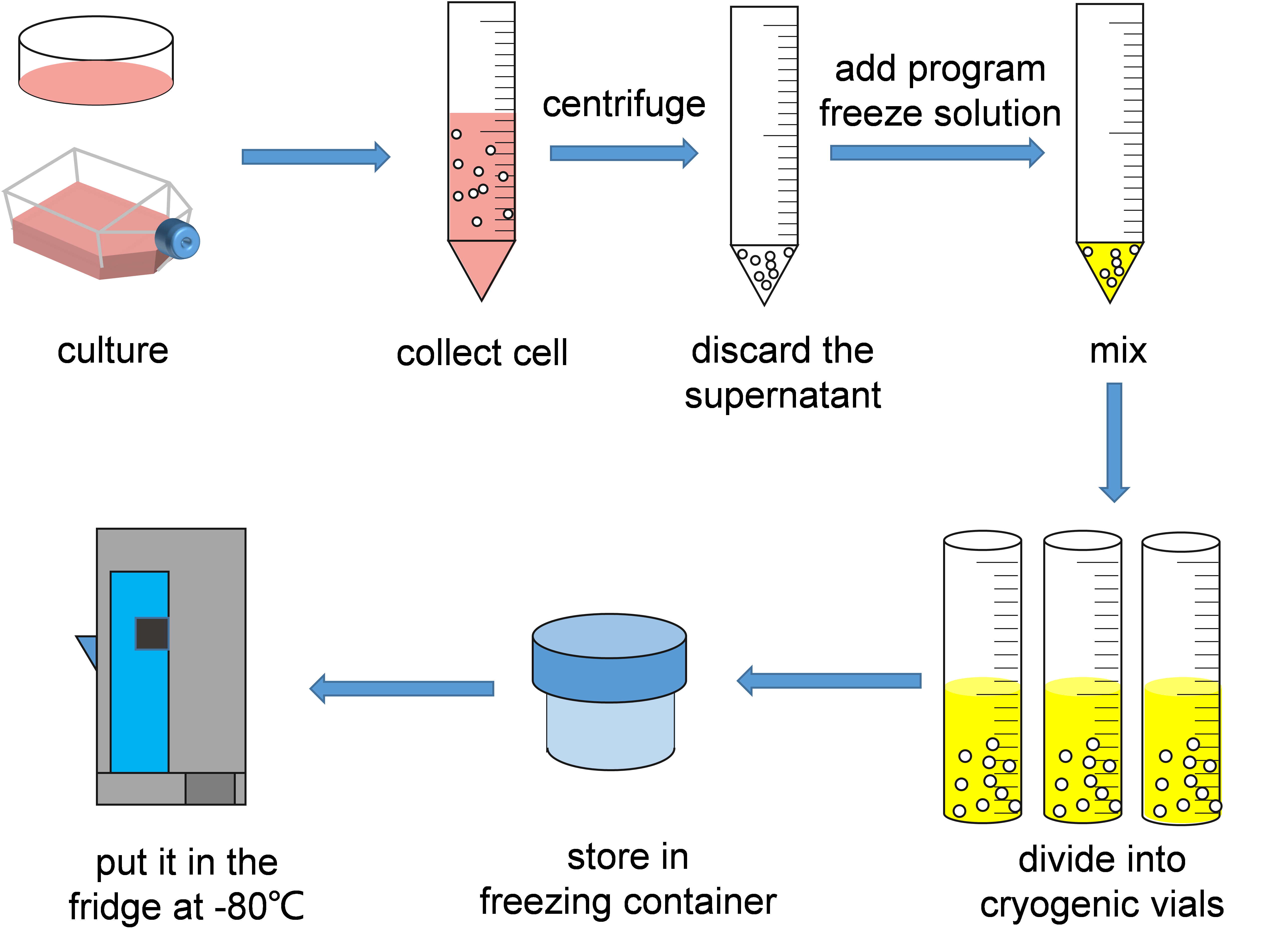 Schematic diagram of using freezer container.