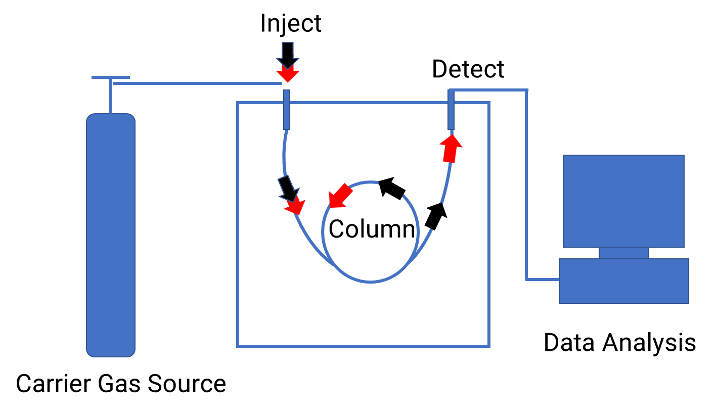 Schematic diagram of gas chromatography principle.