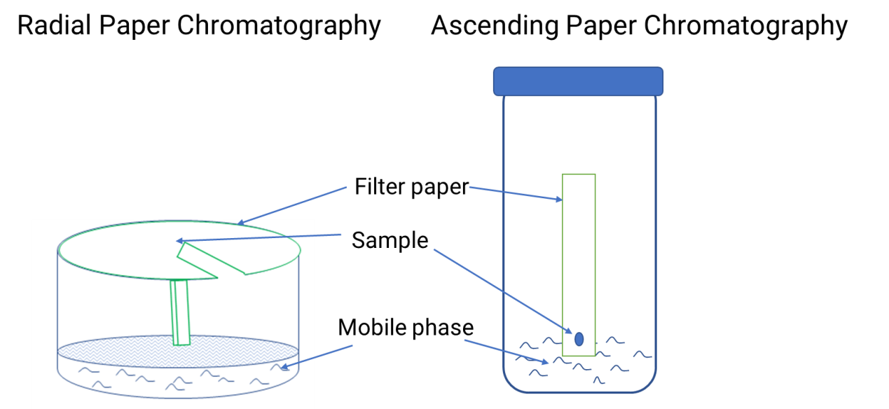 Schematic diagram of paper chromatography technology principle.
