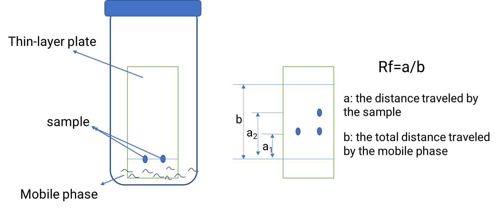 Schematic diagram of thin layer chromatography principle.
