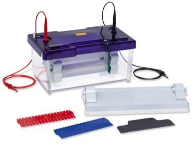 Thin Layer Electrophoresis-2