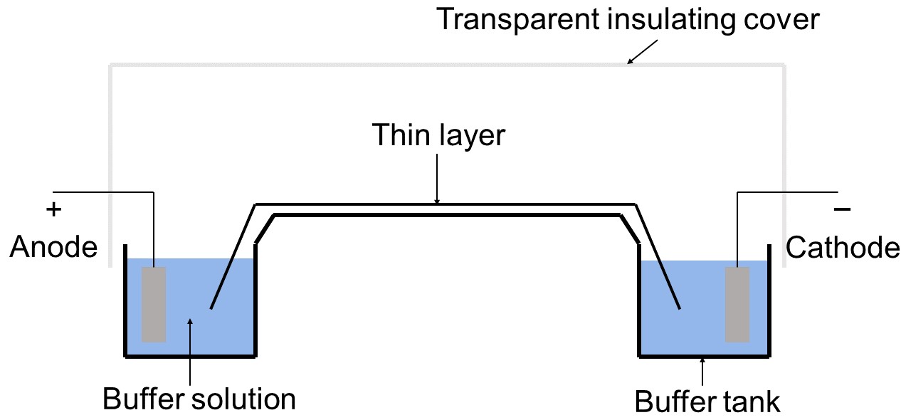 Illustration of thin layer electrophoresis