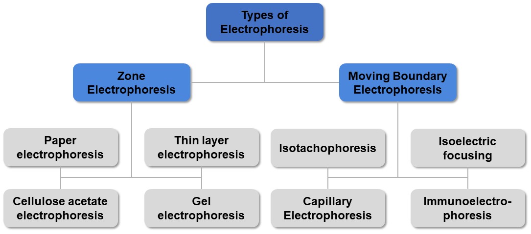 Types of Electrophoresis