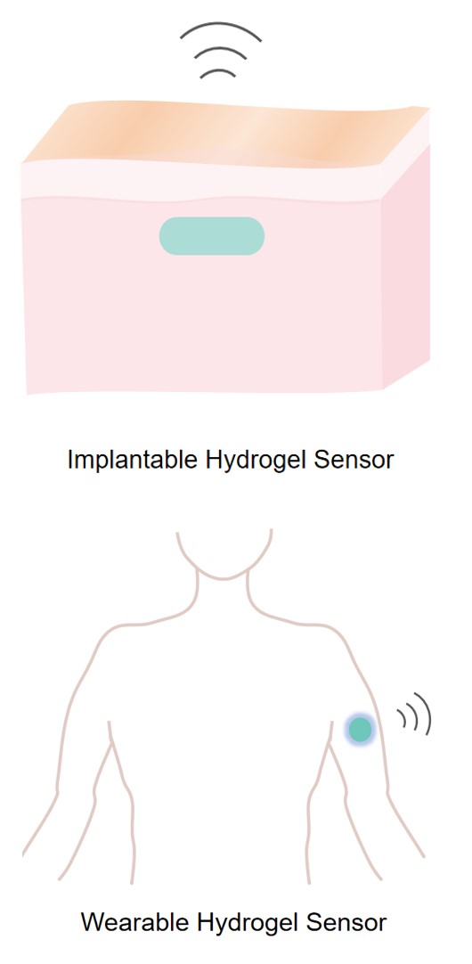 Implantable and wearable hydrogel sensor. (STEMart original)