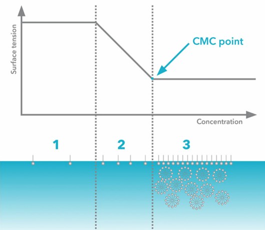 Illustration of critical micelle concentration (CMC) (STEMart Authorized)