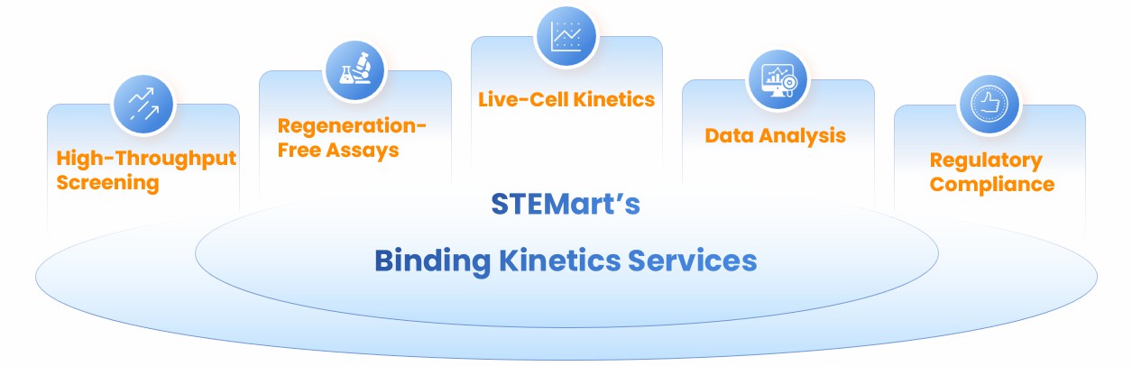 Illustration of stemart’s binding kinetics services. (STEMart Original)