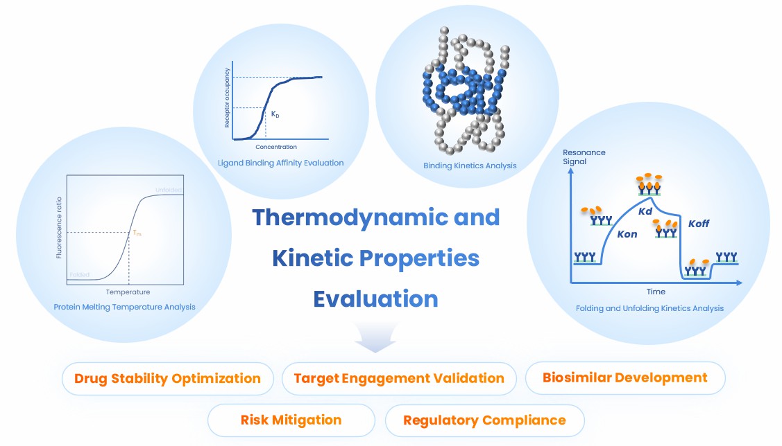 Illustration of our four types of thermodynamic and kinetic properties evaluation and their significance. (STEMart Oringinal)
