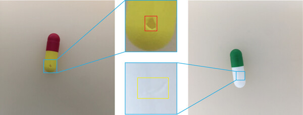 Illustration of surface defects of capsules. (STEMart Authorized)