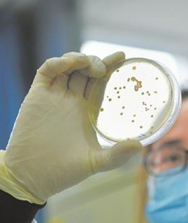 Medical Device Bioburden and Sterility Testing