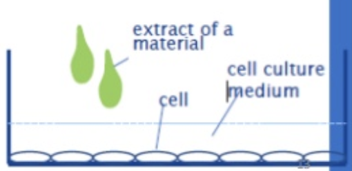 Qualitative cytotoxicity test with MEM elution.