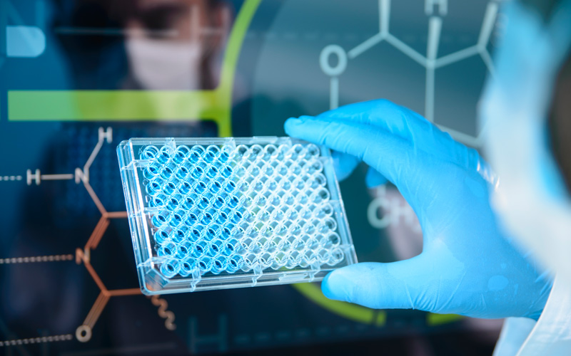 Material Characterization Screens of Raw Materials