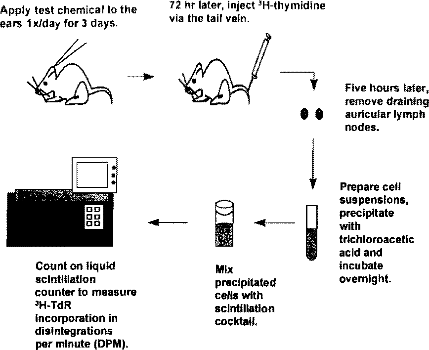 MycoScience - Sensitivities Testing Alternatives In Guinea Pigs For Medical  Devices & Implants