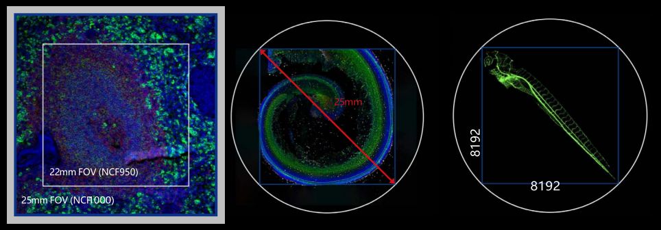 NCF1000 25mm field of view comparison (STEMart Authorized)