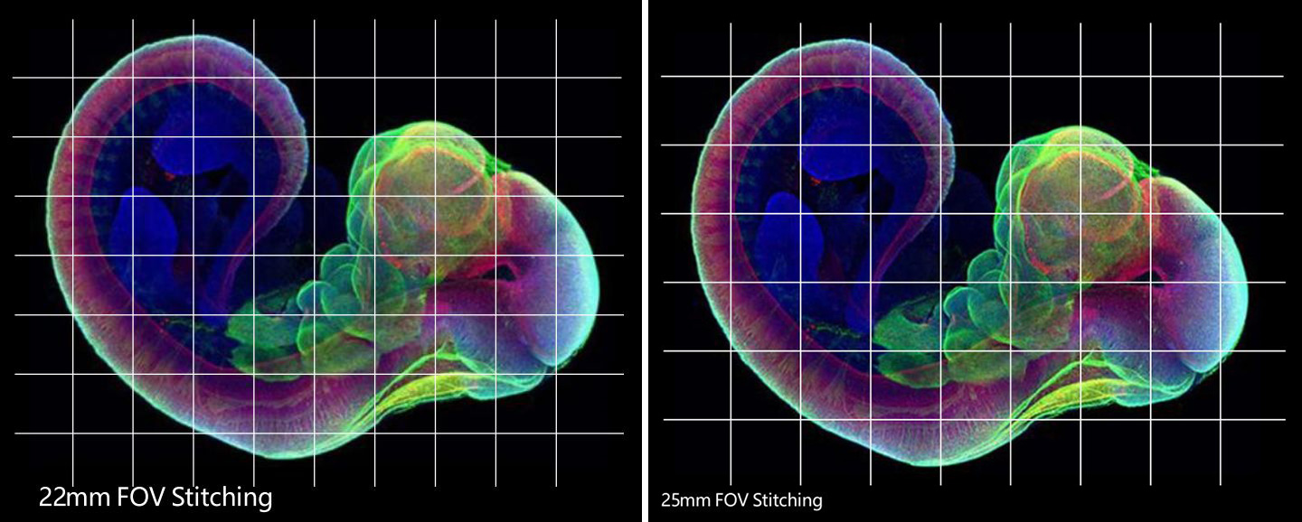 22mm FOV stitching (STEMart Authorized) & 25mm FOV stitching (STEMart Authorized)