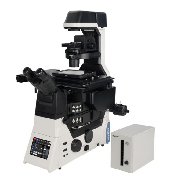 Nexcope NIB1000 inverted microscope (STEMart Authorized)