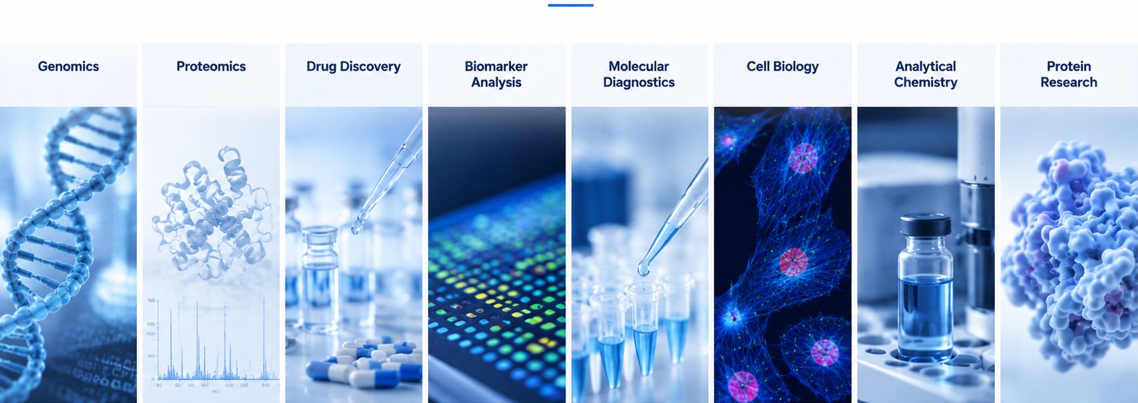 Application areas infographic featuring genomics, proteomics, drug discovery, biomarker analysis, molecular diagnostics, cell biology, analytical chemistry, and protein research in a modern biotechnology research style (STEMart Original)